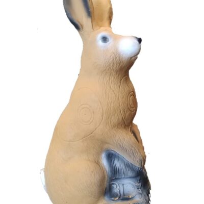 3Di Bunny
