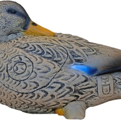 3Di Duck