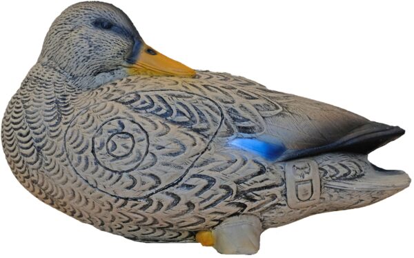 3Di Duck