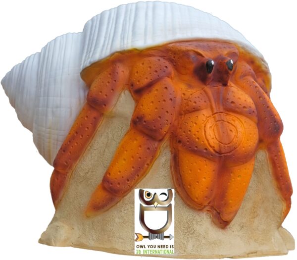 3Di Hermit Crab