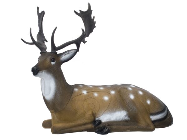 SRT Bedded Deer spotted with SFC inside