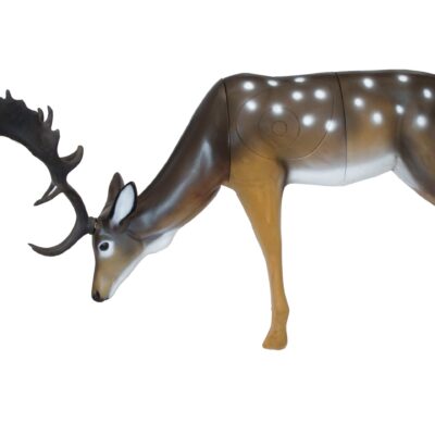 SRT Fallow Deer grazing  SFC inside