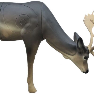 SRT Fallow Deer male grazing with SFC inside