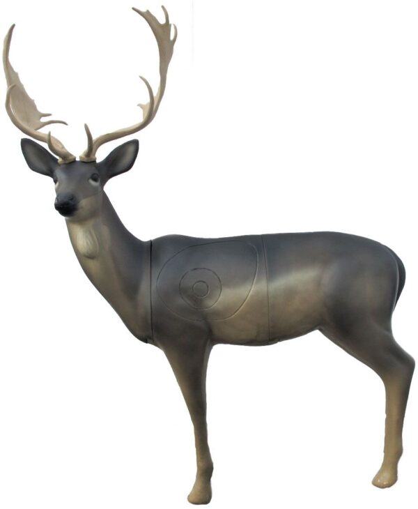 SRT Fallow Deer male standing with SFC inside