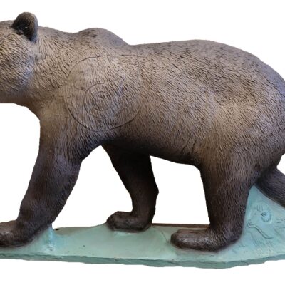 SRT Brown Bear cub marsicano walking