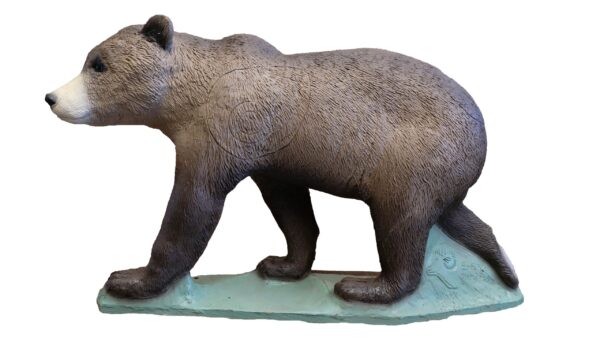 SRT Brown Bear cub marsicano walking