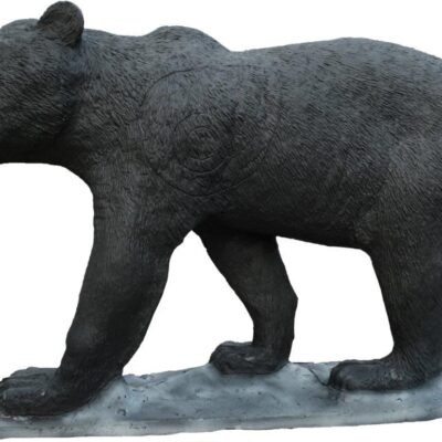 SRT Black  Bear cub walking