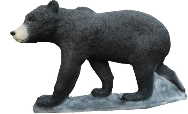 SRT Black  Bear cub walking