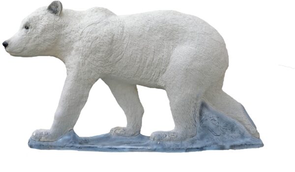 SRT Polar Bear cub walking