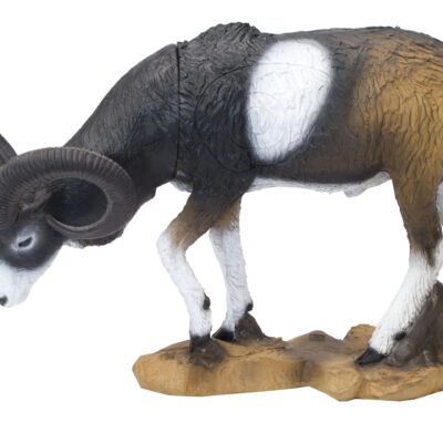 SRT Mouflon VSE grazing with SFC inside