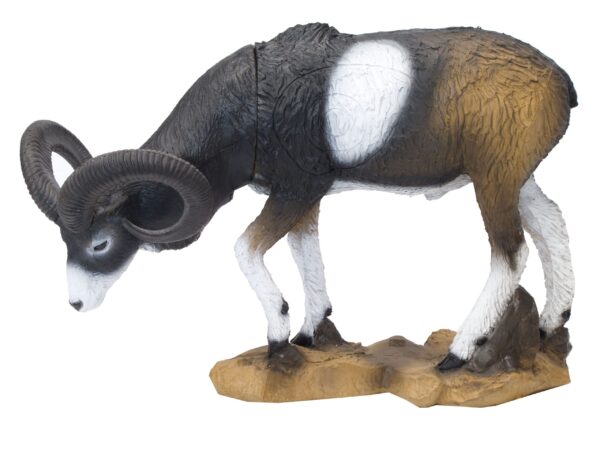 SRT Mouflon VSE grazing with SFC inside