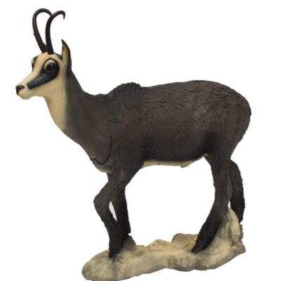 SRT Chamois VSE winter standing with SFC inside