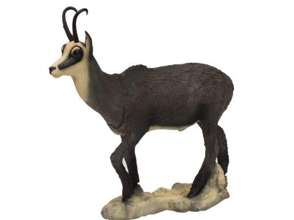SRT Chamois VSE winter standing with SFC inside