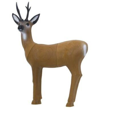 SRT Roebuck standing