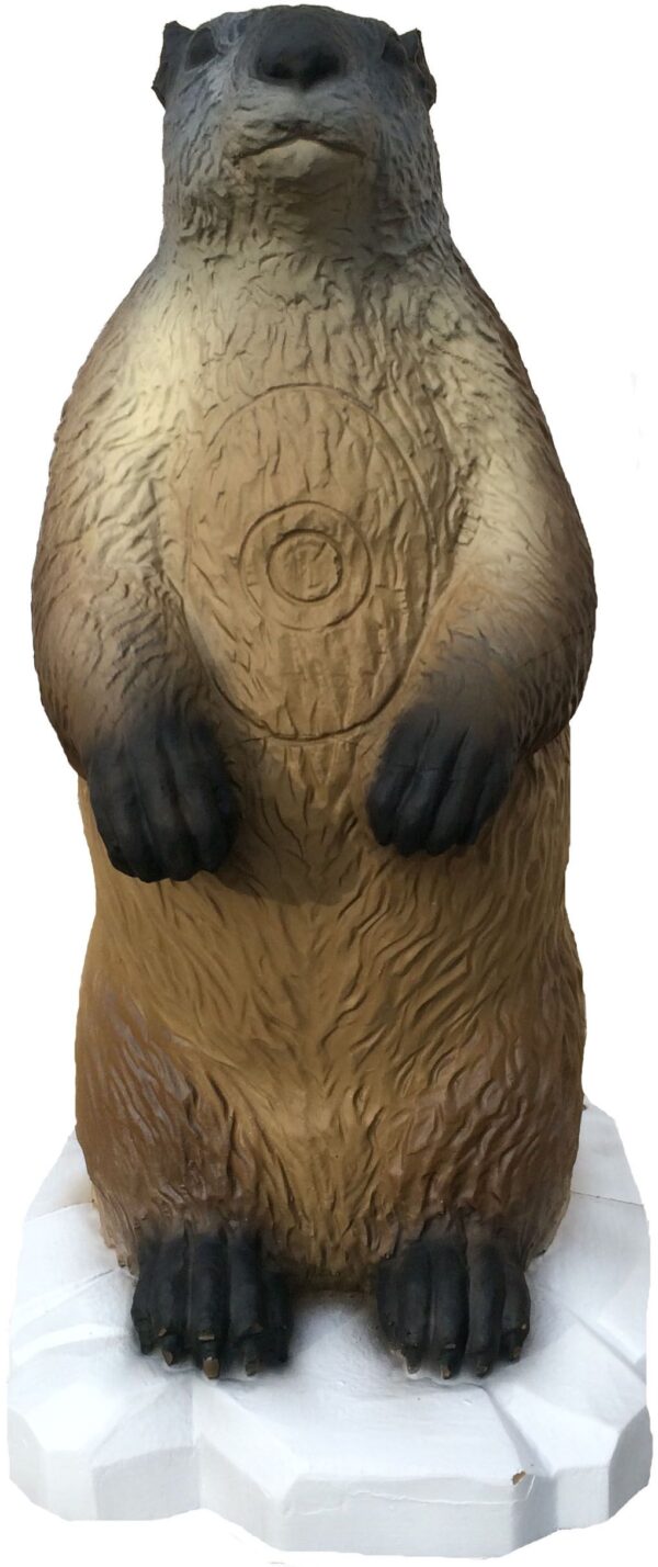 SRT Marmot with SFC inside