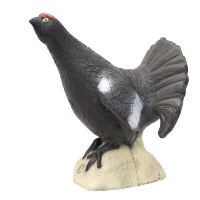 SRT Blackcock