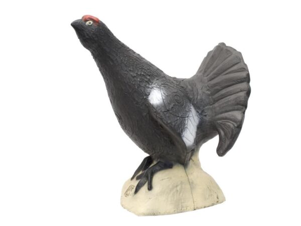 SRT Blackcock