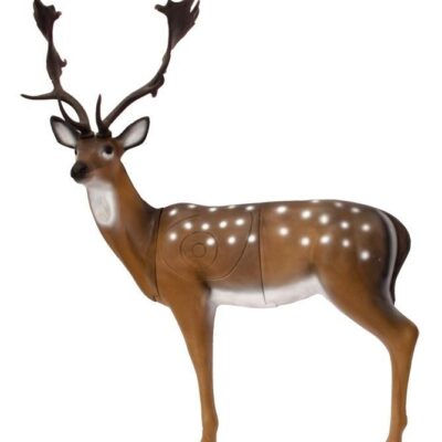 SRT Fallow Deer female standing with SFC inside