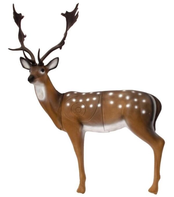 SRT Fallow Deer female standing with SFC inside