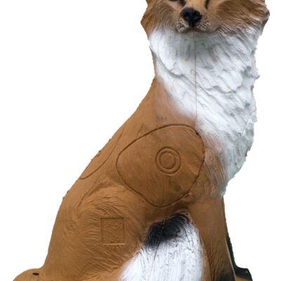 SRT Fox sitting