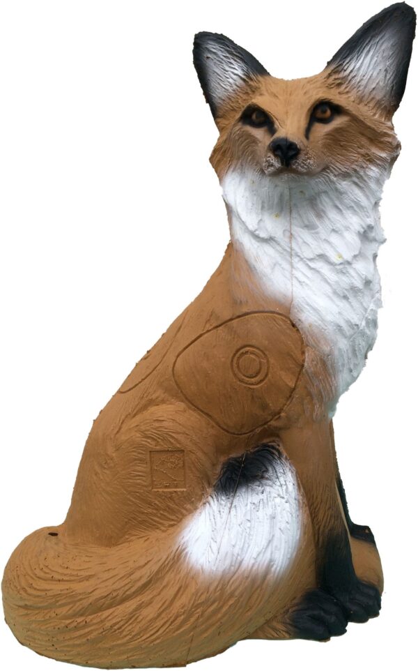 SRT Fox sitting