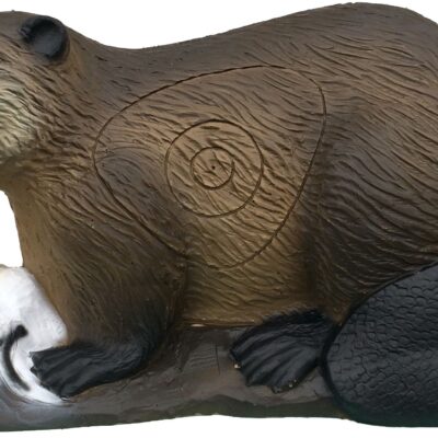 SRT Beaver with SFC inside