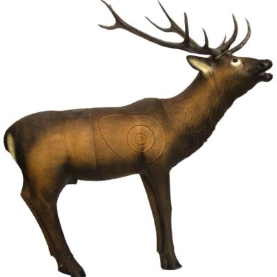SRT Elk standing