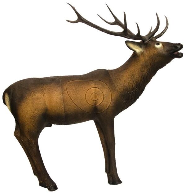 SRT Elk standing