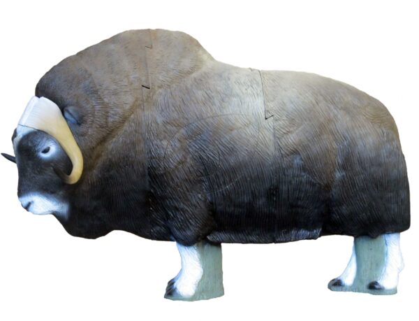 SRT Musk Ox
