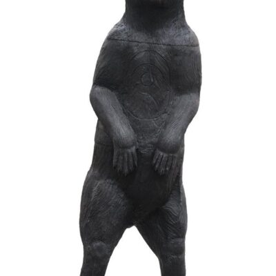 SRT Black bear standing