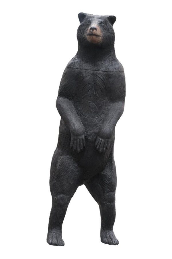 SRT Black bear standing