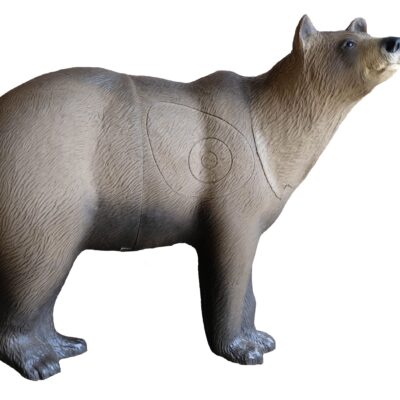 SRT Orso Marsicano Brown Bear on all fours