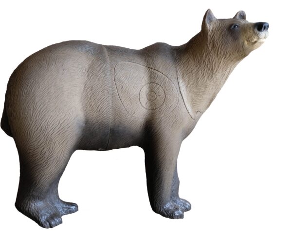 SRT Orso Marsicano Brown Bear on all fours