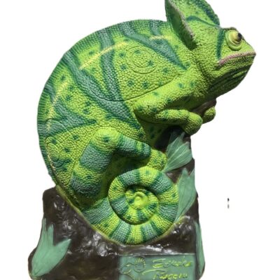 SRT LEON Green Chameleon