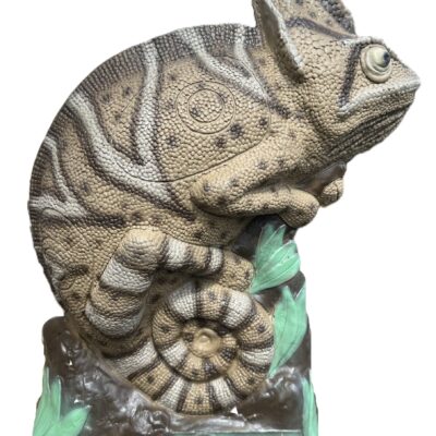 SRT CAMO Mimetic Chameleon