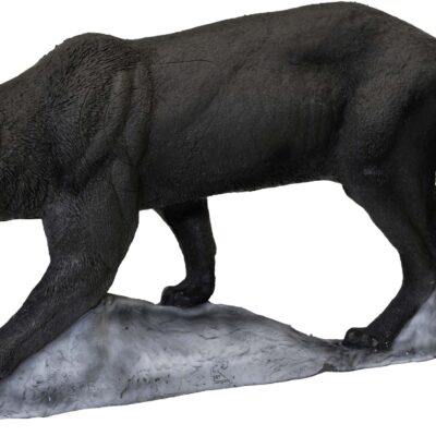 SRT Black Panther walking with SFC inside