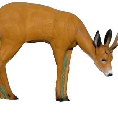 SRT Roedeer VSE grazing with SFC inside
