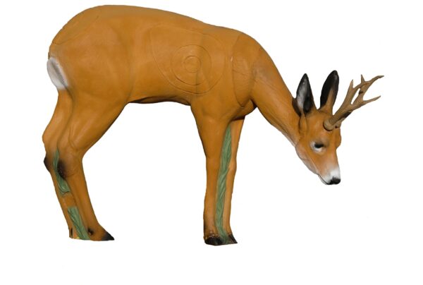 SRT Roedeer VSE grazing with SFC inside