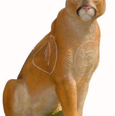 SRT Mountain Lion sitting