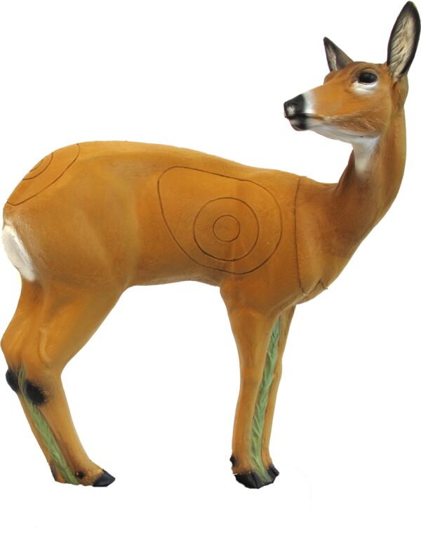 SRT Roedeer VSE female standing with SFC inside