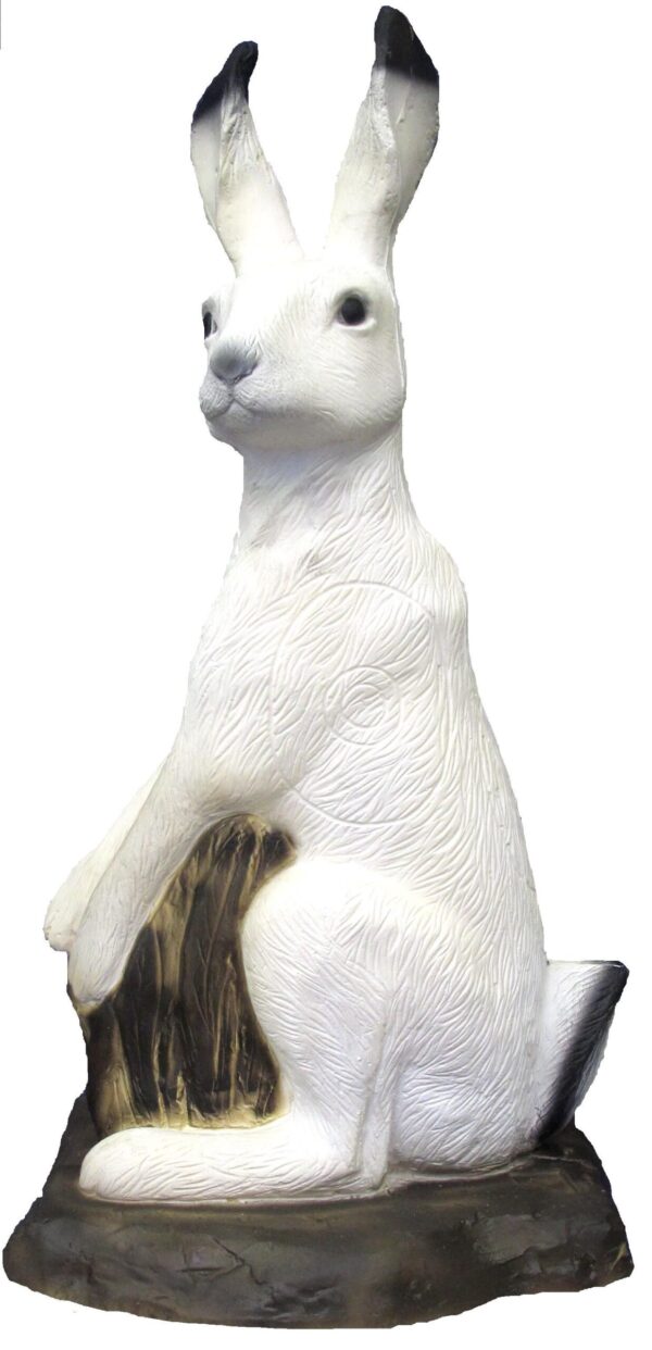 SRT Polar Hare with SFC inside