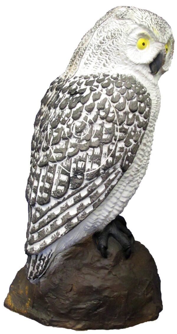 SRT Screech Owl White