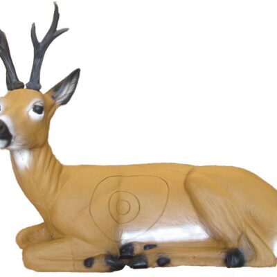 SRT Roebuck bedded