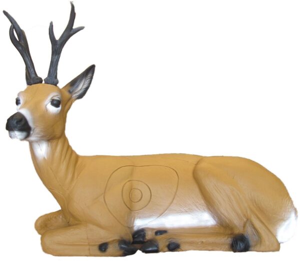 SRT Roebuck bedded