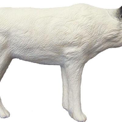 SRT White Wolf standing with SFC inside