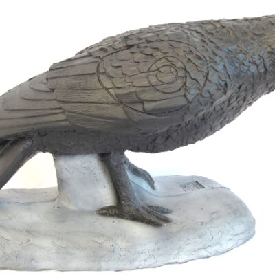 SRT Raven