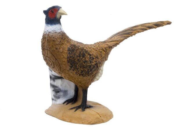 SRT Pheasant