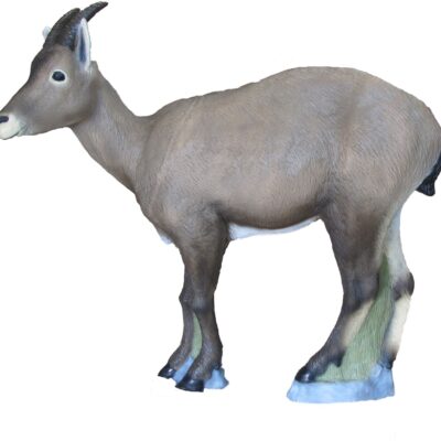 SRT Ibex female with SFC inside