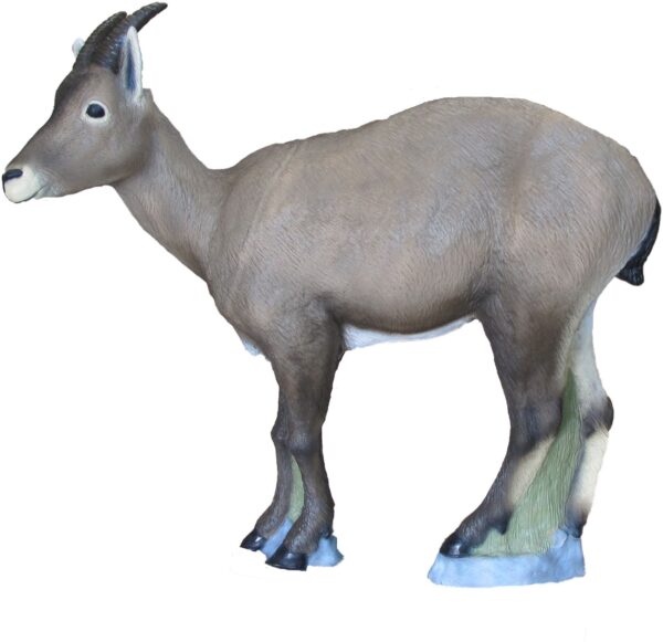 SRT Ibex female with SFC inside