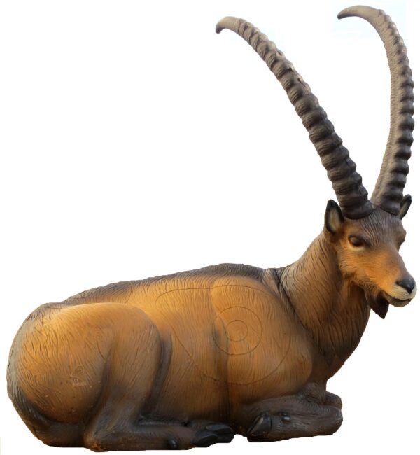 SRT Ibex bedded with SFC inside